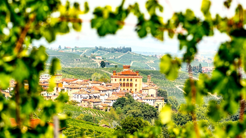 Vinresa Italien 10 dagar